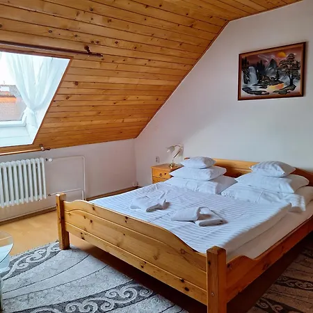 Gabriel Nocleg ze śniadaniem Nová Lesná