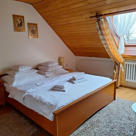 Gabriel * Nová Lesná